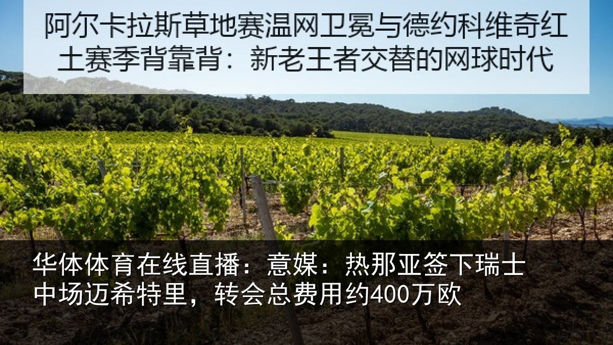 华体体育在线直播:意媒:热那亚签下瑞士中场迈希特里,转会总费用约400万欧