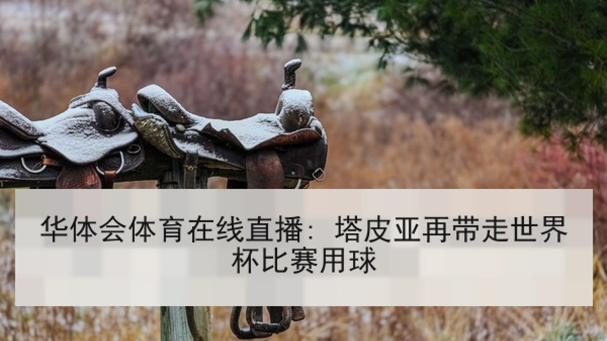 华体会体育在线直播: 塔皮亚再带走世界杯比赛用球